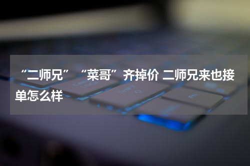 “二师兄”“菜哥”齐掉价 二师兄来也接单怎么样