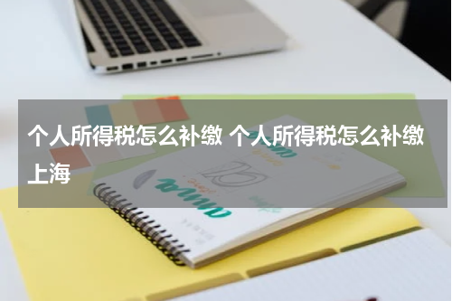 个人所得税怎么补缴 个人所得税怎么补缴上海