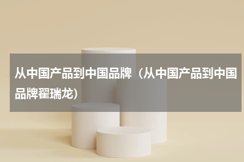 从中国产品到中国品牌（从中国产品到中国品牌翟瑞龙）