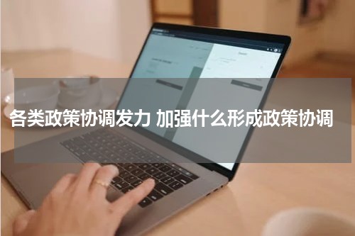 各类政策协调发力 加强什么形成政策协调