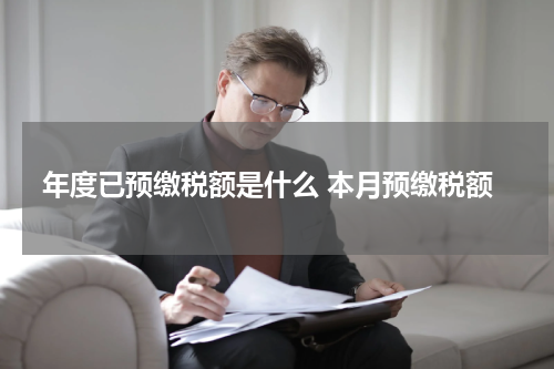 年度已预缴税额是什么 本月预缴税额