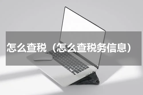 怎么查税（怎么查税务信息）
