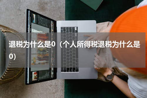 退税为什么是0（个人所得税退税为什么是0）