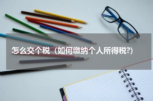 怎么交个税（如何缴纳个人所得税?）