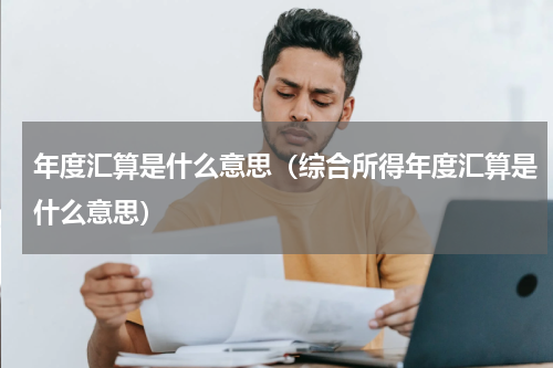 年度汇算是什么意思（综合所得年度汇算是什么意思）
