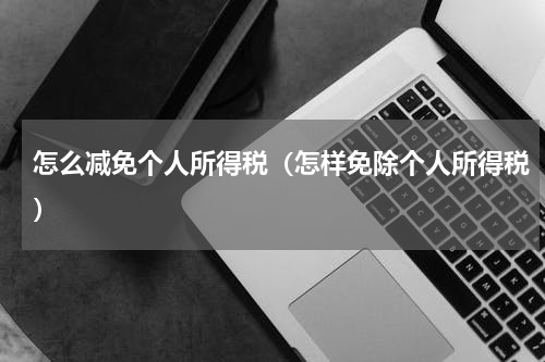 怎么减免个人所得税（怎样免除个人所得税）