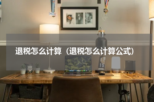 退税怎么计算（退税怎么计算公式）