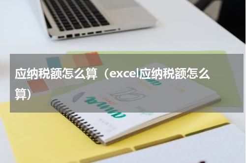 应纳税额怎么算（excel应纳税额怎么算）