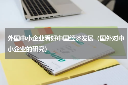 外国中小企业看好中国经济发展（国外对中小企业的研究）
