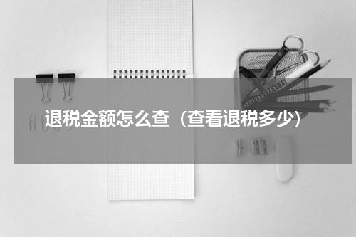 退税金额怎么查（查看退税多少）