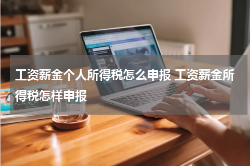 工资薪金个人所得税怎么申报 工资薪金所得税怎样申报
