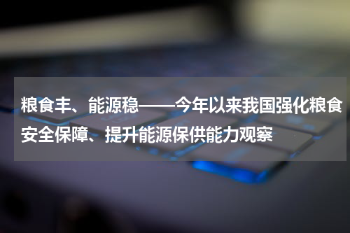 粮食丰、能源稳——今年以来我国强化粮食安全保障、提升能源保供能力观察
