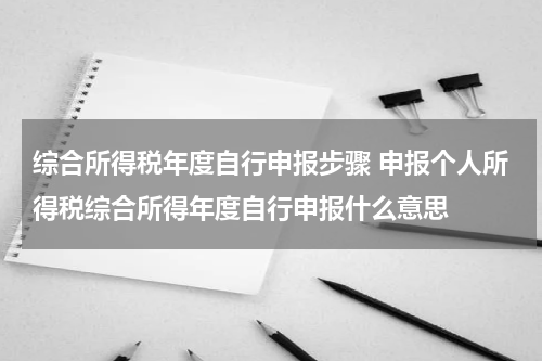 综合所得税年度自行申报步骤 申报个人所得税综合所得年度自行申报什么意思