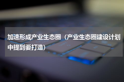 加速形成产业生态圈（产业生态圈建设计划中提到要打造）