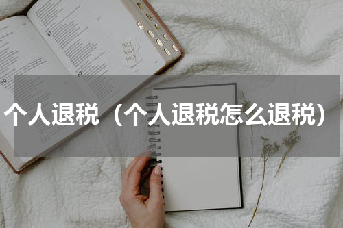 个人退税（个人退税怎么退税）