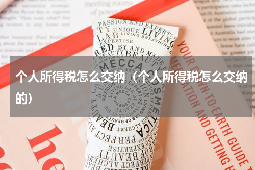 个人所得税怎么交纳（个人所得税怎么交纳的）