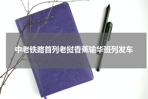 中老铁路首列老挝香蕉输华班列发车