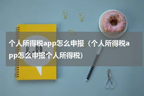个人所得税app怎么申报（个人所得税app怎么申报个人所得税）