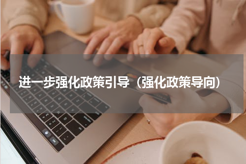 进一步强化政策引导（强化政策导向）