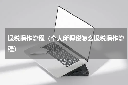 退税操作流程（个人所得税怎么退税操作流程）