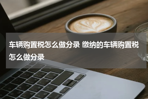 车辆购置税怎么做分录 缴纳的车辆购置税怎么做分录