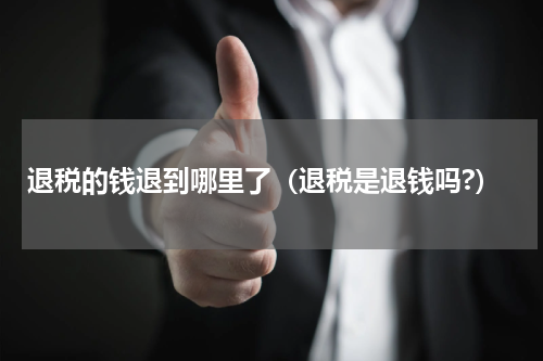 退税的钱退到哪里了（退税是退钱吗?）