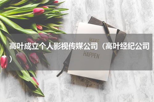 高叶成立个人影视传媒公司（高叶经纪公司）