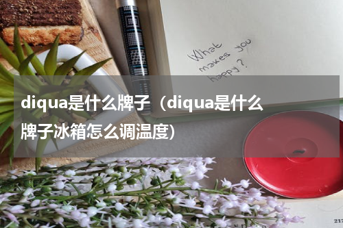 diqua是什么牌子（diqua是什么牌子冰箱怎么调温度）