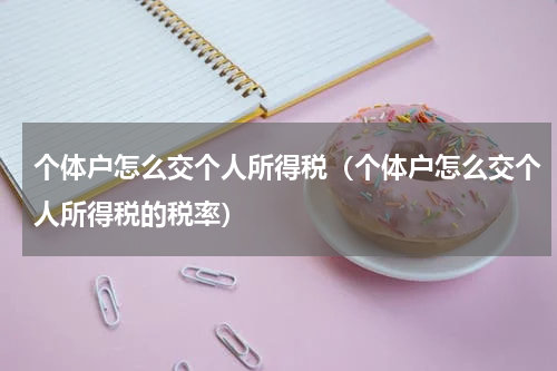 个体户怎么交个人所得税（个体户怎么交个人所得税的税率）