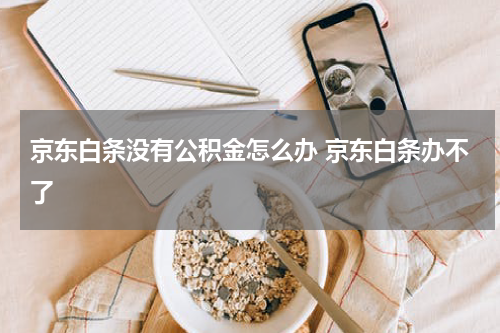 京东白条没有公积金怎么办 京东白条办不了