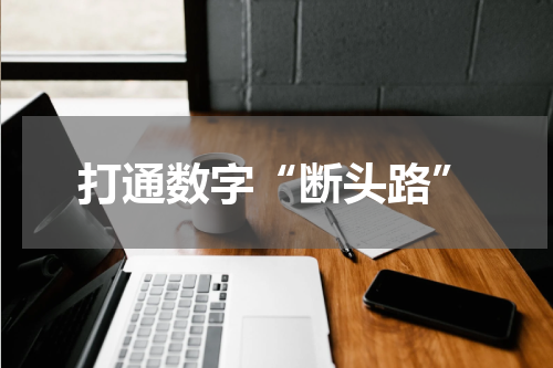 打通数字“断头路”