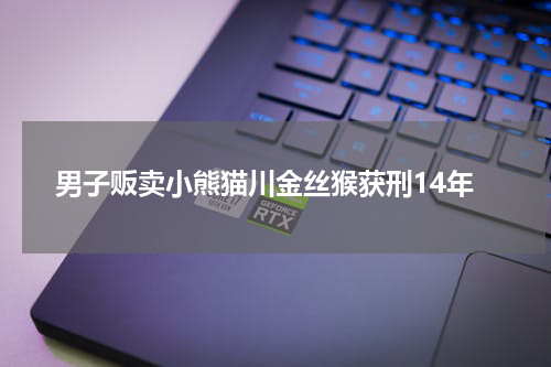 男子贩卖小熊猫川金丝猴获刑14年