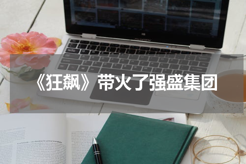 《狂飙》带火了强盛集团