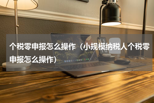 个税零申报怎么操作（小规模纳税人个税零申报怎么操作）