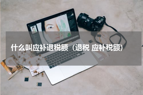 什么叫应补退税额（退税 应补税额）