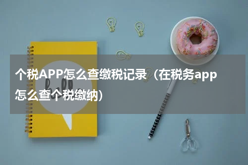个税APP怎么查缴税记录（在税务app怎么查个税缴纳）