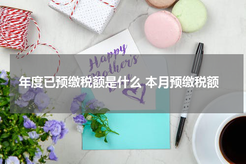 年度已预缴税额是什么 本月预缴税额