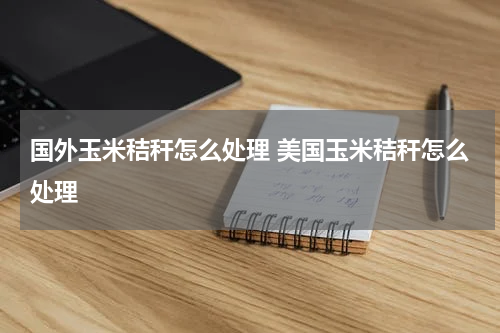 国外玉米秸秆怎么处理 美国玉米秸秆怎么处理