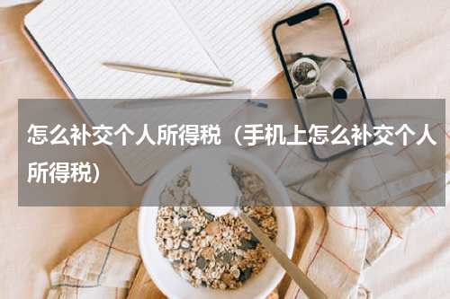 怎么补交个人所得税（手机上怎么补交个人所得税）