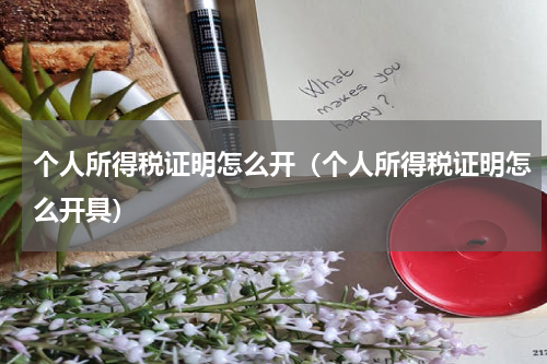 个人所得税证明怎么开（个人所得税证明怎么开具）