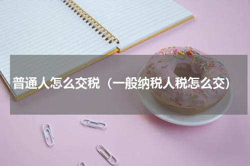 普通人怎么交税（一般纳税人税怎么交）
