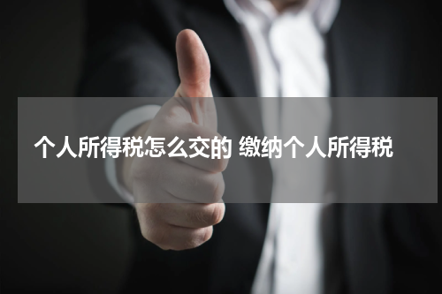 个人所得税怎么交的 缴纳个人所得税