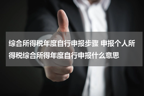 综合所得税年度自行申报步骤 申报个人所得税综合所得年度自行申报什么意思