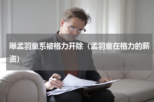 曝孟羽童系被格力开除（孟羽童在格力的薪资）