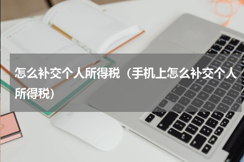 怎么补交个人所得税（手机上怎么补交个人所得税）