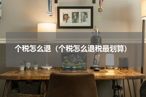 个税怎么退（个税怎么退税最划算）