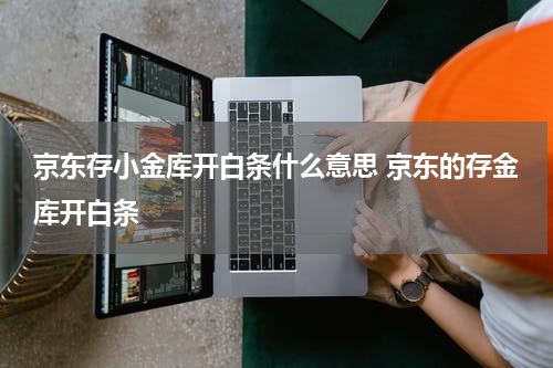 京东存小金库开白条什么意思 京东的存金库开白条