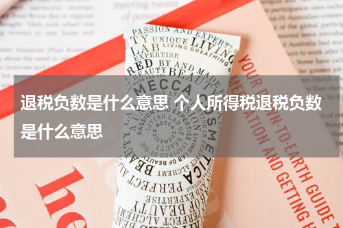 退税负数是什么意思 个人所得税退税负数是什么意思