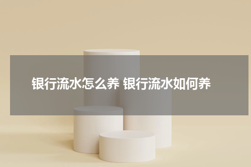 银行流水怎么养 银行流水如何养
