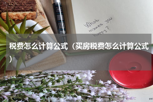 税费怎么计算公式（买房税费怎么计算公式）